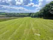 Ample sized pitches