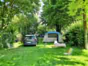 A peaceful and shaded spot