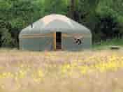 Lovely setting for the yurts