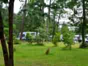 Lots of greenery