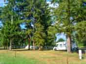 Pitches among the trees