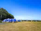 Electric grass pitch