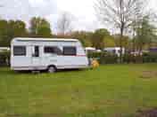 Grass pitches