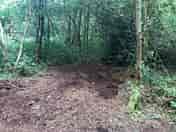 A beautiful tree lined secluded space!