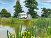 Pitches overlooking the fishing pond