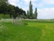 Sunny orchard pitch