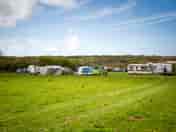 Plenty of room in the meadow