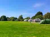 Grass pitch