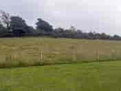 Grass pitch