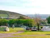 Grass pitches