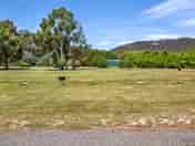 View of the site