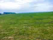 Camping field