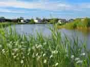 The view in springtime