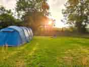 Grassy pitches