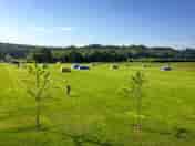 Grass pitches