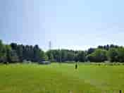 Grass with electric