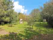 Tree-shaded pitches