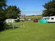 Tom's field