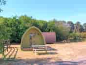 Our cute Pea Pod has space for parking, your own picnic bench and is dog friendly too