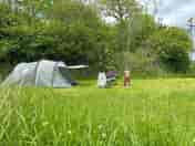 Clover Tent pitch