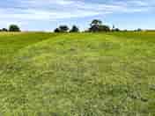 Mown camping field