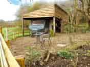 Private woodland garden