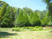 Back field