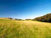 Field pitches