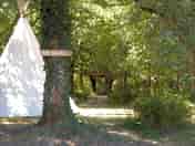 Tipi on a shady pitch