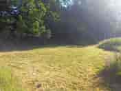 Badger pitch