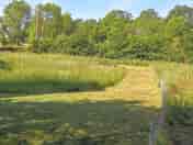 Grass pitches