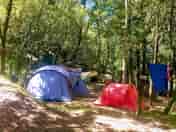 Shaded pitches in the woods