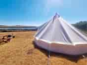 Views from the bell tent