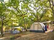 Pitches on site