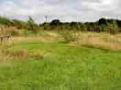 Solo pitch