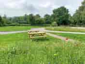 Grassy pitch