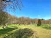 Park Avenue - grass pitches suitable for tents and trailer tents