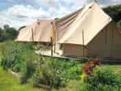 Bell tents