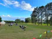 Families enjoying barbecues