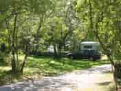 Spacious pitches shaded by leafy trees