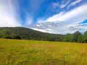 Rural scenery