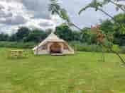 Cherry bell tent
