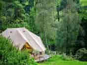 Glamping tent