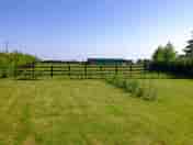 Freshly cut grass