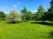 Small Meadow pitches