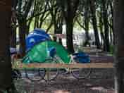 Bikes on site