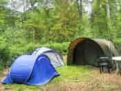 Pitches among the trees