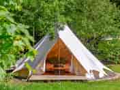 Bluebell Brook Camp bell tent exterior