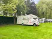 Pitches under the trees