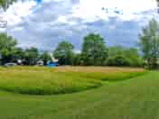 Visitor image of the campsite